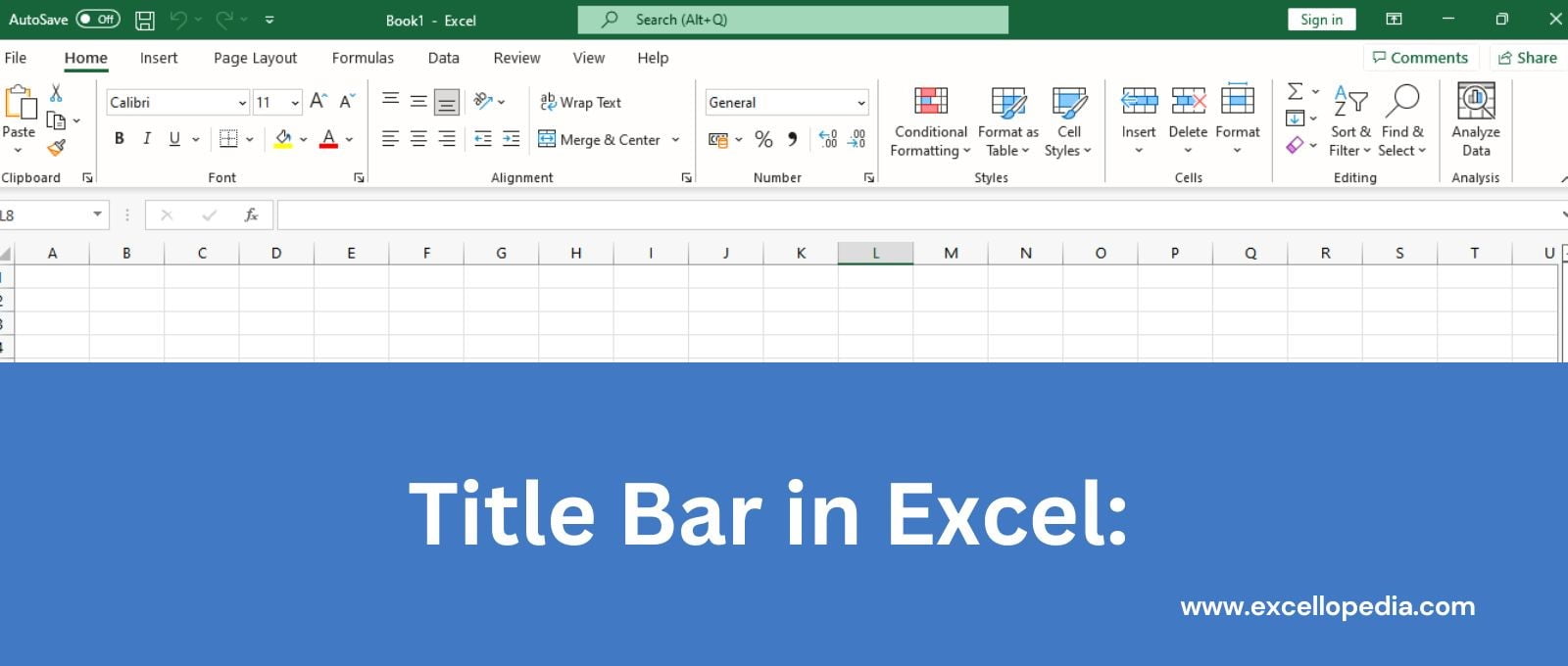 Title Bar in Excel